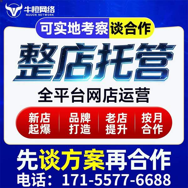 南宁电商代运营