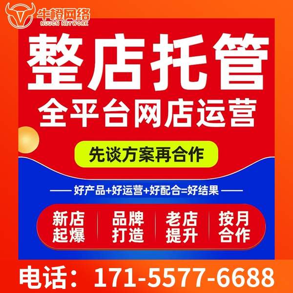 南宁电商代运营