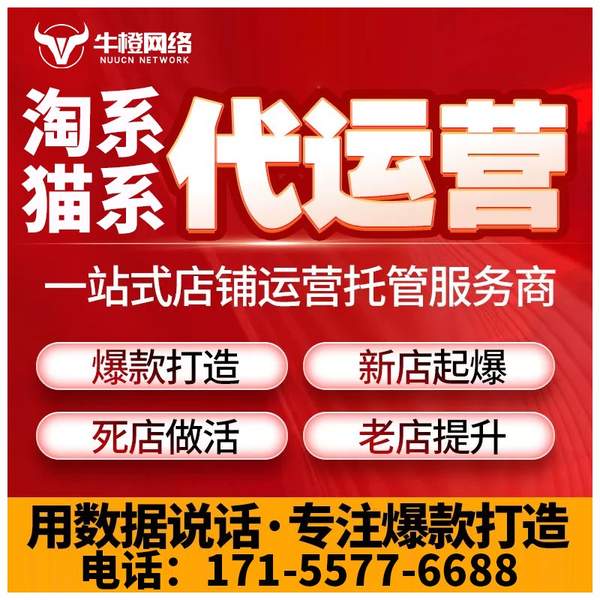 南宁电商代运营